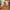 LEGO® Friends™ Family Vacation Beach Resort