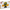 LEGO® Editions McLaren Mastercard F1® Team Lando Norris Helmet