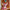 LEGO® Disney™ Angel