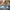 LEGO® Disney™ Princess Castle & Royal Pets