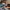LEGO® Speed Champions APXGP Team Race Car from F1® The Movie