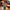 LEGO® Botanicals Hibiscus