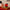 LEGO® Ideas Peanuts: Snoopy’s Doghouse