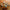 LEGO® Icons The Lord of the Rings™: Rivendell™