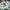 LEGO® Editions Vini Jr. – Football Highlights