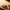LEGO® ICONS™ The Lord of the Rings: Barad-dûr™