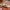 LEGO® Speed Champions Lamborghini Countach