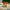 LEGO® Editions Cristiano Ronaldo – Football Highlights