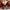 LEGO® NINJAGO® Kai's Motorcycle Speed Race