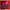 LEGO® NINJAGO® Rontu the Master Dragon