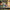 LEGO® NINJAGO® Rontu the Master Dragon