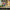 LEGO® NINJAGO® Rontu the Master Dragon
