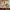 LEGO® NINJAGO® Lloyd’s Jet Mech