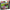 LEGO® Super Mario™: Mario Kart™ – Piranha Plant Power-Up Pursuit