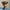 LEGO® Star Wars™ Princess Leia™ (Boushh™) Helmet