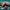 LEGO® Star Wars™ Ahsoka Tano's T-6 Jedi Shuttle