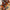 LEGO® Star Wars™ Chewbacca™
