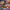 LEGO® Star Wars™ Advent Calendar 2025