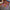 LEGO® Star Wars™ Advent Calendar 2025