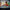LEGO® Star Wars™ SMART Play™: Throne Room Duel & A-Wing™
