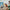 LEGO® Star Wars™ Battle Droid™ with STAP