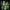 LEGO® Wicked Emerald City Wall Art