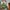 LEGO® Wicked Emerald City Wall Art