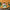 LEGO® Wicked Emerald City Wall Art