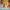 LEGO® Marvel Peter Parker’s Apartment