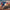 LEGO® Marvel Avengers: Endgame Thor vs. Chitauri