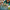 LEGO® Harry Potter™ Hogwarts™ Castle: Herbology Class