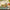 LEGO® Harry Potter™ Hogwarts™ Castle: Herbology Class