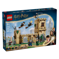LEGO® 76447 Harry Potter™ Hogwarts™ Castle: Flying Lessons