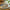 LEGO® Harry Potter™ Privet Drive: Aunt Marge's Visit