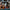 LEGO® Harry Potter™ Hogsmeade™ Village – Collectors' Edition
