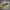 LEGO® Jurassic World™ Dinosaur Missions: Allosaurus Transport Truck