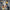 LEGO® Jurassic World™ Dinosaur Missions: Allosaurus Transport Truck