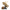 LEGO 76969 Jurassic World™ Dinosaur Fossils: Triceratops Skull