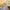 LEGO® Jurassic World T. rex River Escape