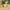 LEGO® Jurassic World T. rex River Escape