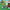 LEGO® Animal Crossing™ Blathers’s Museum Collection