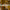 LEGO® Animal Crossing™ Blathers’s Museum Collection