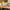 LEGO® Animal Crossing™ Creative Houses: Seasons of Fun