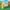 LEGO® Animal Crossing™ Goldie’s Cosy House