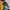 LEGO® Speed Champions Bugatti Centodieci Hyper Sports Car