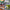 LEGO® Speed Champions Lamborghini Countach