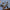 LEGO® ICONS™ Captain Jack Sparrow’s Pirate Ship