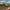 LEGO® Speed Champions Aston Martin Valkyrie AMR Pro and Aston Martin Vantage GT3