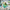 LEGO® Editions Vini Jr. – Football Highlights