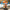 LEGO® BrickHeadz™ Buggy the Clown Figure